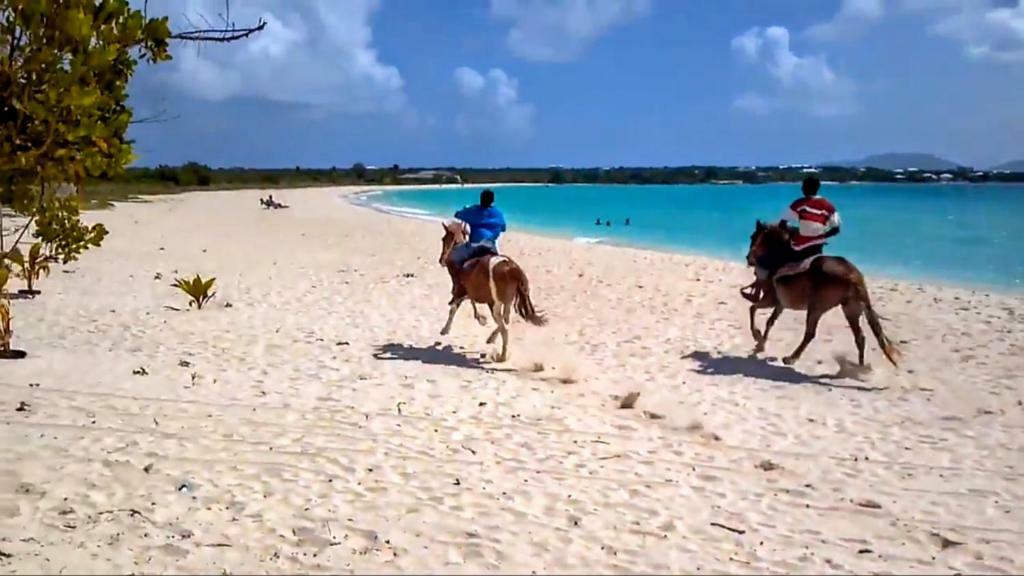 White Sands Anguilla - Sea Blowing Point Village Kültér fotó